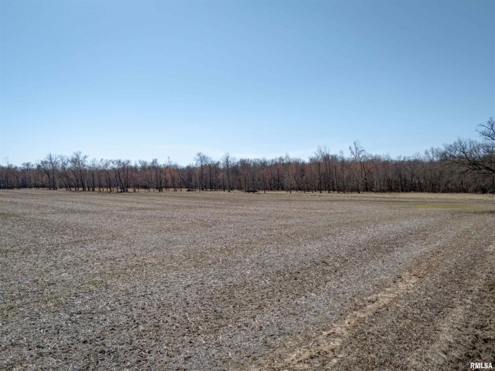1234 Khoury League Road, Marion, Illinois 62959, 0 , 0 ,0,Land,For Sale,Khoury League,0,RMAPA1263344