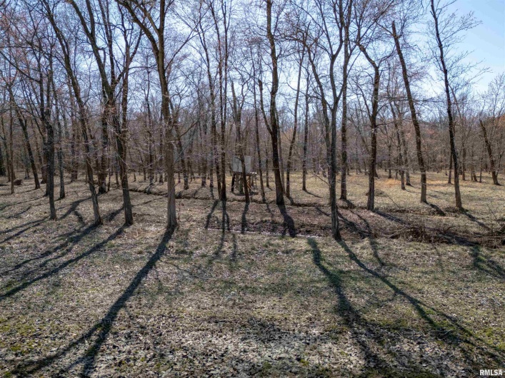 1234 Khoury League Road, Marion, Illinois 62959, 0 , 0 ,0,Land,For Sale,Khoury League,0,RMAPA1263344