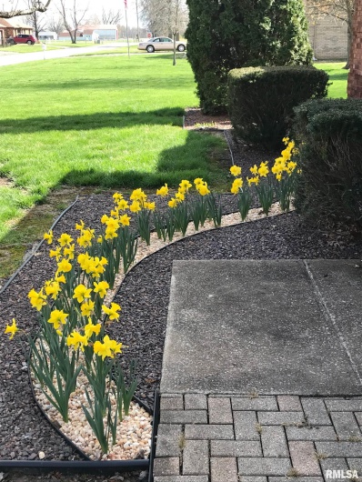 202 Dinah Lane, Marion, Illinois 62959, 3 Bedrooms Bedrooms, 0 ,2 BathroomsBathrooms,Residential,For Sale,Dinah,0,RMAPA1263380