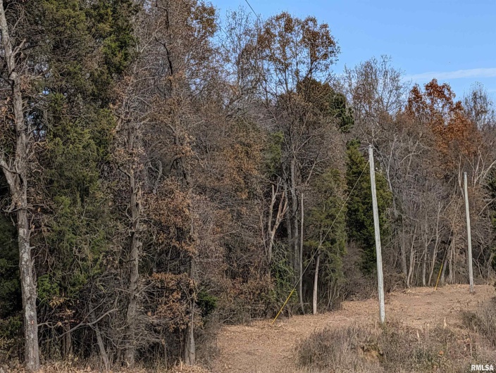 0000 State Highway 145 N Highway, Stonefort, Illinois 62987, 0 , 0 ,0,Land,For Sale,State Highway 145 N,0,RMAPA1263374