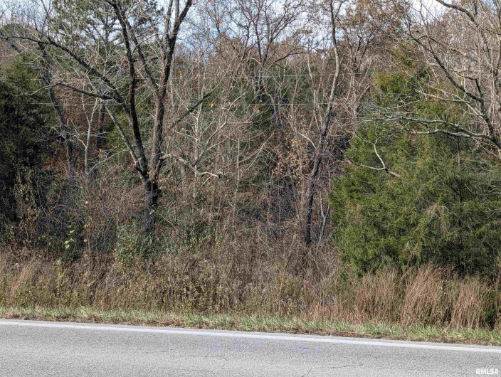 0000 State Highway 145 N Highway, Stonefort, Illinois 62987, 0 , 0 ,0,Land,For Sale,State Highway 145 N,0,RMAPA1263374