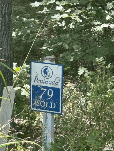 00 HAWTHORNE Point, Goreville, Illinois 62939, 0 , 0 ,0,Land,For Sale,HAWTHORNE,0,RMAPA1263415