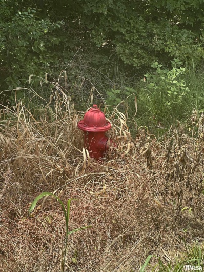 00 HAWTHORNE Point, Goreville, Illinois 62939, 0 , 0 ,0,Land,For Sale,HAWTHORNE,0,RMAPA1263415