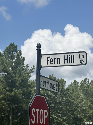 00 HAWTHORNE Point, Goreville, Illinois 62939, 0 , 0 ,0,Land,For Sale,HAWTHORNE,0,RMAPA1263415