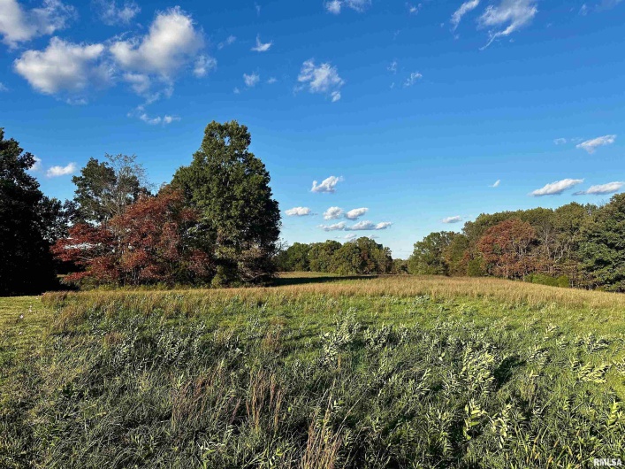 000 Galatia Road, Galatia, Illinois 62935, 0 , 0 ,0,Land,For Sale,Galatia,0,RMAPA1263552