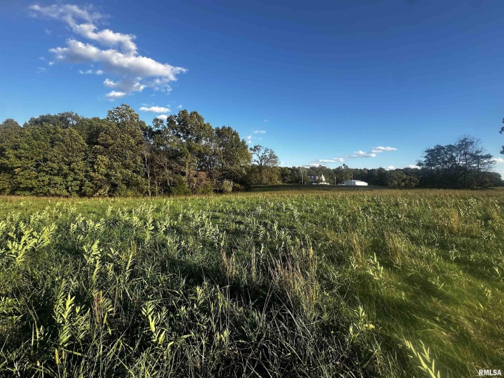 000 Galatia Road, Galatia, Illinois 62935, 0 , 0 ,0,Land,For Sale,Galatia,0,RMAPA1263552