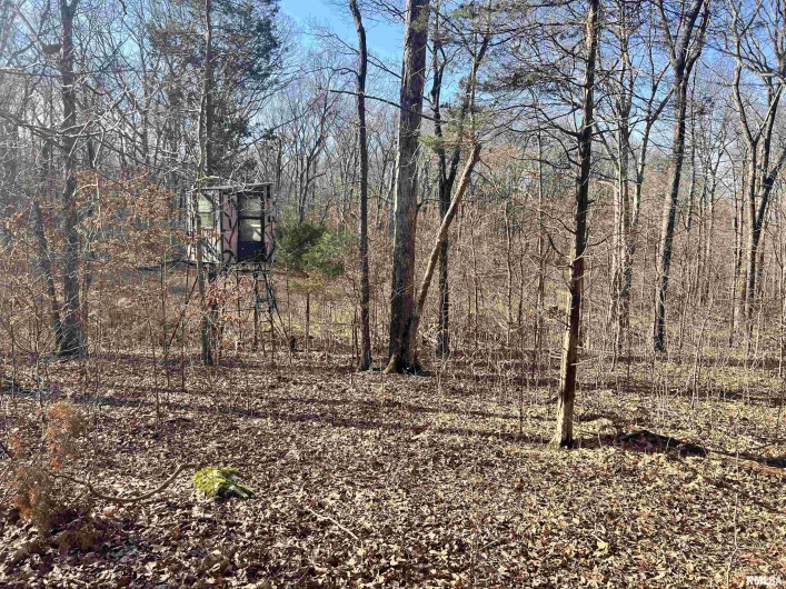 000 Stoneface Road, Harrisburg, Illinois 62946, 0 , 0 ,0,Land,For Sale,Stoneface,0,RMACA1041479