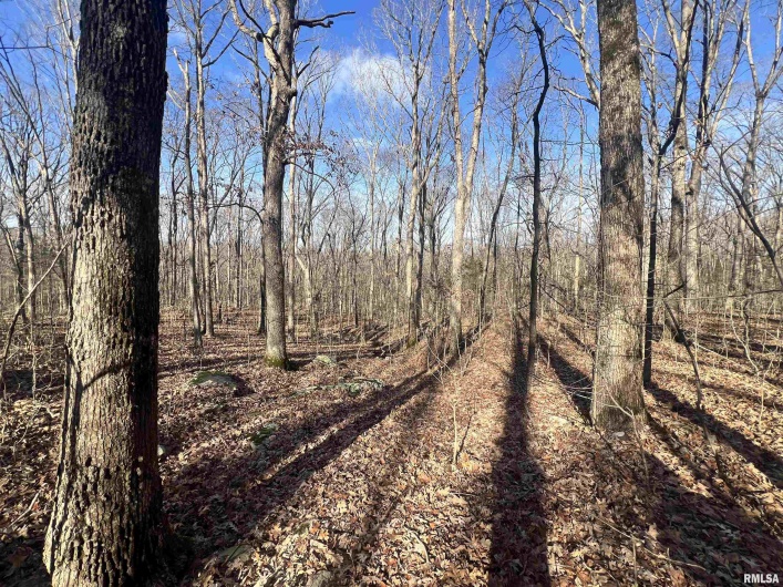 000 Stoneface Road, Harrisburg, Illinois 62946, 0 , 0 ,0,Land,For Sale,Stoneface,0,RMACA1041479