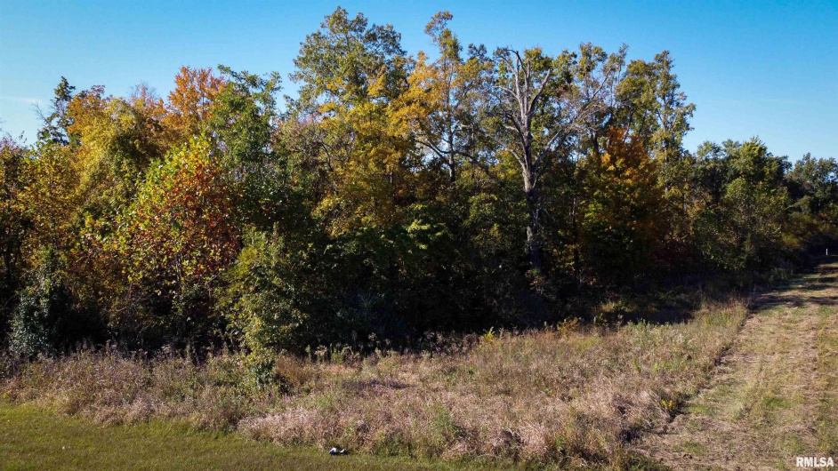 TBD A ROUTE 13 Highway, Crainville, Illinois 62918, 0 , 0 ,0,Land,For Sale,ROUTE 13,0,RMAPA1263660