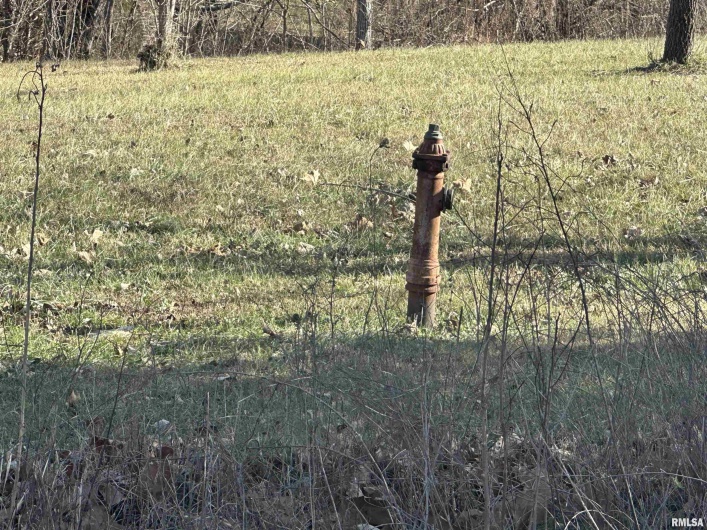 0000 JOYCE Lane, Vienna, Illinois 62995, 0 , 0 ,0,Land,For Sale,JOYCE,0,RMAPA1263698