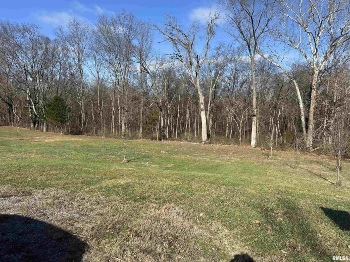 0000 JOYCE Lane, Vienna, Illinois 62995, 0 , 0 ,0,Land,For Sale,JOYCE,0,RMAPA1263698