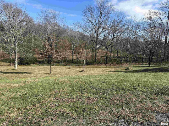 0000 JOYCE Lane, Vienna, Illinois 62995, 0 , 0 ,0,Land,For Sale,JOYCE,0,RMAPA1263698