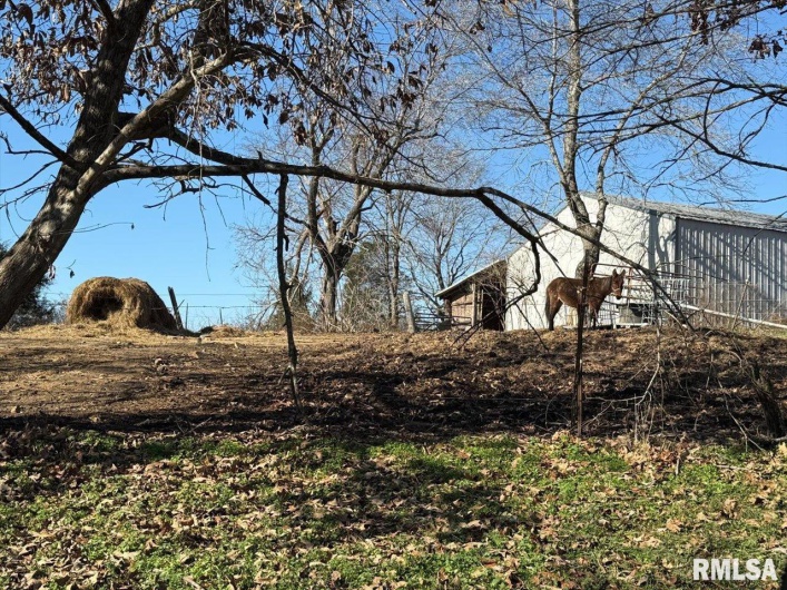 24 Fox Trott Lane, Golconda, Illinois 62938, 3 Bedrooms Bedrooms, 0 ,2 BathroomsBathrooms,Residential,For Sale,Fox Trott,0,RMAPA1263733