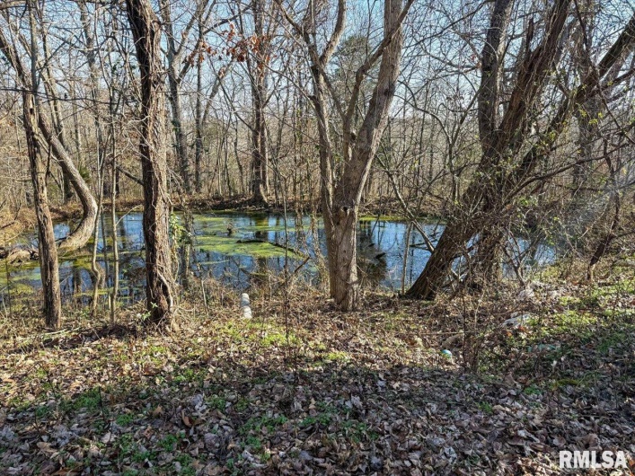 24 Fox Trott Lane, Golconda, Illinois 62938, 3 Bedrooms Bedrooms, 0 ,2 BathroomsBathrooms,Residential,For Sale,Fox Trott,0,RMAPA1263733