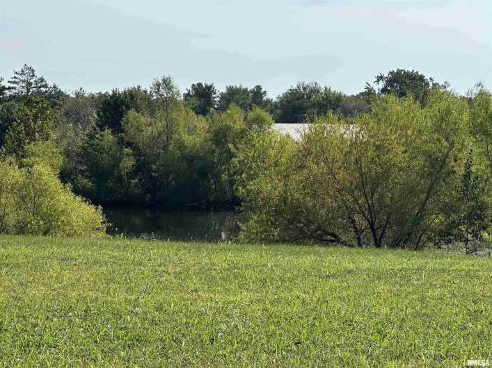 5 Cool Springs Road, Makanda, Illinois 62958, 0 , 0 ,0,Land,For Sale,Cool Springs,0,RMAPA1263739