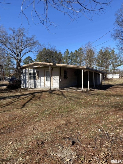 313 WEBSTER Street, Herrin, Illinois 62948, 1 Bedroom Bedrooms, 0 ,1 BathroomBathrooms,Residential,For Sale,WEBSTER,0,RMAPA1263718