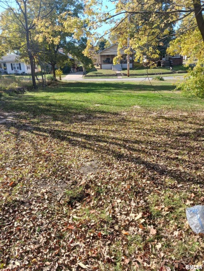 1420 POPLAR Street, Murphysboro, Illinois 62966, 0 , 0 ,0,Land,For Sale,POPLAR,0,RMAPA1263813