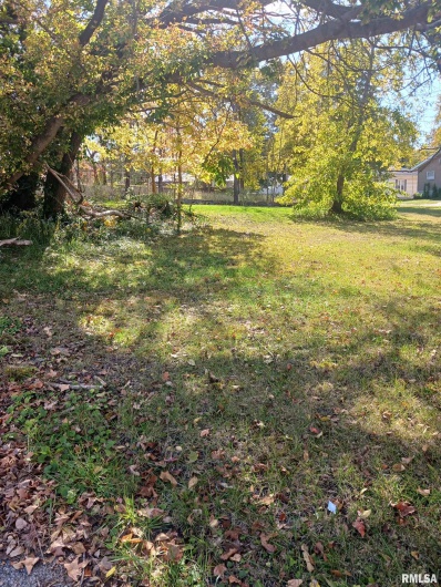 1420 POPLAR Street, Murphysboro, Illinois 62966, 0 , 0 ,0,Land,For Sale,POPLAR,0,RMAPA1263813