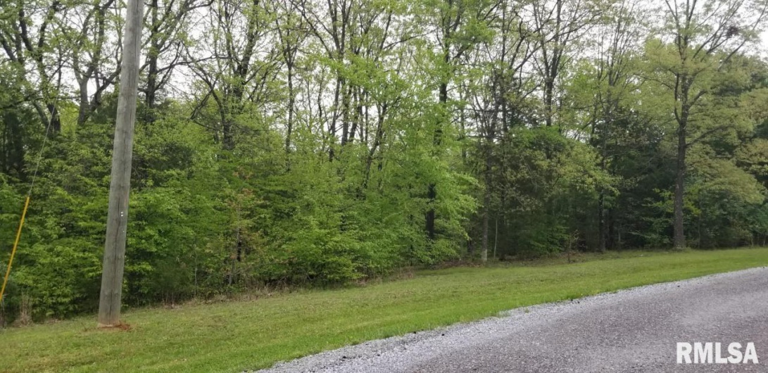 Lot 80 & 81 Saluki Way, Other, Illinois 62939, 0 , 0 ,0,Land,For Sale,Saluki,0,RMAPA1263856