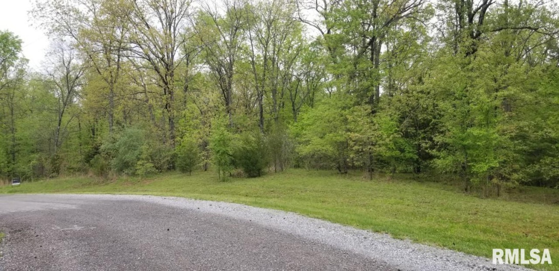 Lot 80 & 81 Saluki Way, Other, Illinois 62939, 0 , 0 ,0,Land,For Sale,Saluki,0,RMAPA1263856