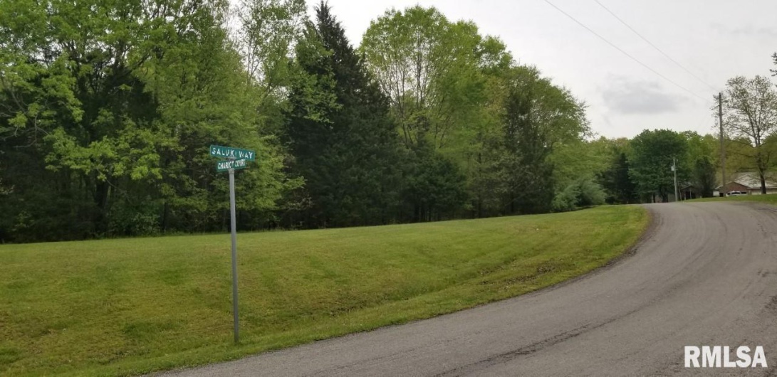 Lot 82 & 83 Saluki Way, Goreville, Illinois 62939, 0 , 0 ,0,Land,For Sale,Saluki,0,RMAPA1263860