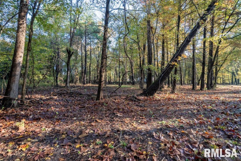 0000 Baptist Camp Road, Carterville, Illinois 62918, 0 , 0 ,0,Land,For Sale,Baptist Camp,0,RMAPA1263903