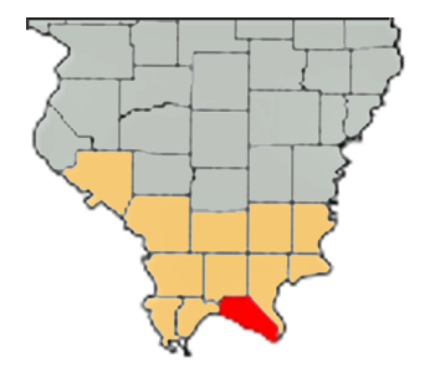 62960  Real Estate FOR SALE by Tracey Miller Realtor Near Me Vylla Low Credit Home Loans 618RealEstate LIVELocalListings