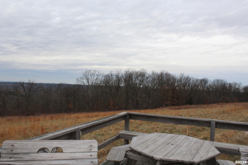0000 Bruce Johnson Road, Herod, Illinois 62947, 0 , 0 ,0,Land,For Sale,Bruce Johnson,0,RMAEB410710