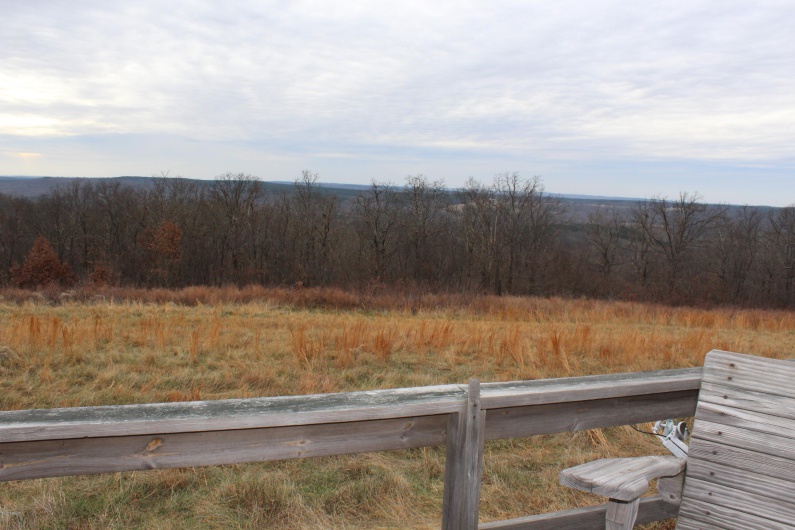 0000 Bruce Johnson Road, Herod, Illinois 62947, 0 , 0 ,0,Land,For Sale,Bruce Johnson,0,RMAEB410710