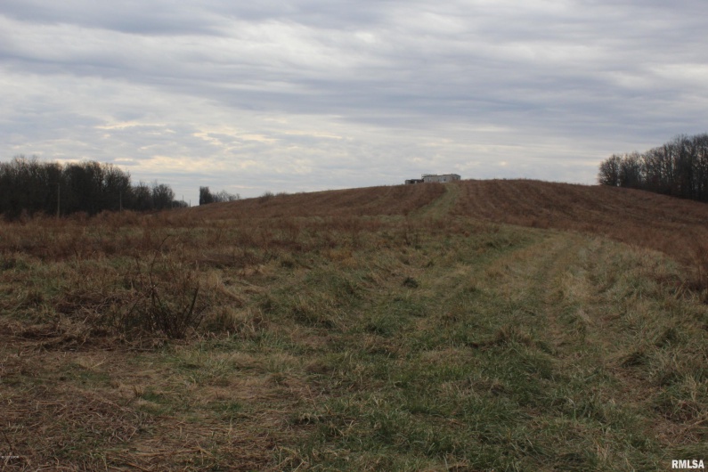 0000 Bruce Johnson Road, Herod, Illinois 62947, 0 , 0 ,0,Land,For Sale,Bruce Johnson,0,RMAEB410710