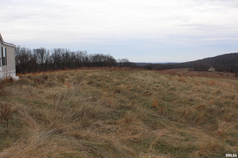 0000 Bruce Johnson Road, Herod, Illinois 62947, 0 , 0 ,0,Land,For Sale,Bruce Johnson,0,RMAEB410710