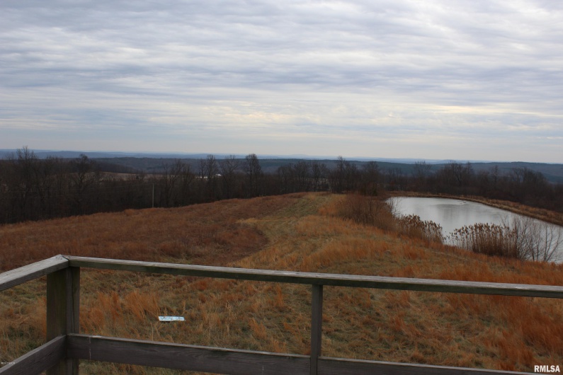 0000 Bruce Johnson Road, Herod, Illinois 62947, 0 , 0 ,0,Land,For Sale,Bruce Johnson,0,RMAEB410710