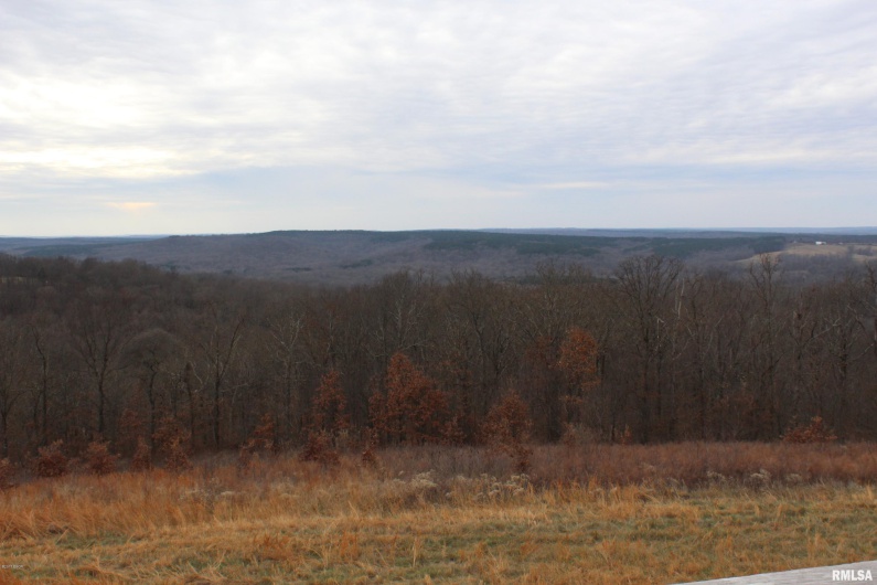 0000 Bruce Johnson Road, Herod, Illinois 62947, 0 , 0 ,0,Land,For Sale,Bruce Johnson,0,RMAEB410710