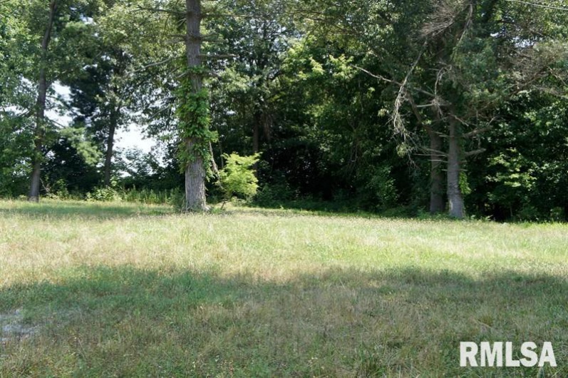 2134 5TH Street, Metropolis, Illinois 62960, 0 , 0 ,0,Land,For Sale,5TH,0,RMAEB307324