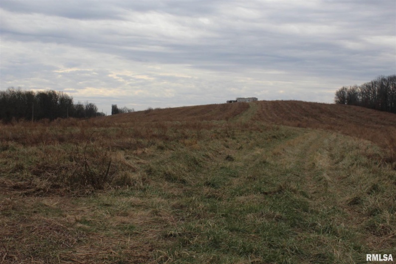 0000 Bruce Johnson Road, Herod, Illinois 62947, 0 , 0 ,0,Commercial Sale,For Sale,Bruce Johnson,0,RMAEB438282