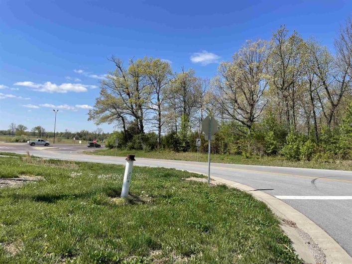 10311 FLEMING Road, Carterville, Illinois 62918, 0 , 0 ,0,Land,For Sale,FLEMING,0,RMAEB439050