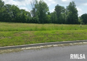 Lot 2 FINANCIAL Park, Carbondale, Illinois 62901, 0 , 0 ,0,Land,For Sale,FINANCIAL,0,RMAEB423621