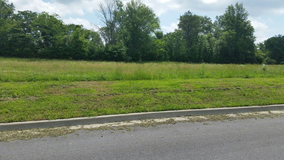 Lot 3 FINANCIAL Park, Carbondale, Illinois 62901, 0 , 0 ,0,Land,For Sale,FINANCIAL,0,RMAEB423624