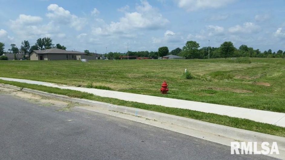 Lot 8 FINANCIAL Park, Carbondale, Illinois 62901, 0 , 0 ,0,Land,For Sale,FINANCIAL,0,RMAEB423630