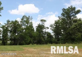 1414 WALNUT Street, Carbondale, Illinois 62902, 0 , 0 ,0,Land,For Sale,WALNUT,0,RMAEB423602