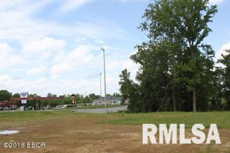 1414 WALNUT Street, Carbondale, Illinois 62902, 0 , 0 ,0,Land,For Sale,WALNUT,0,RMAEB423602