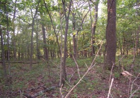 0 Outer Road, Farmington, Missouri 63640, ,Commercial Sale,For Sale,Outer,MAR17042309