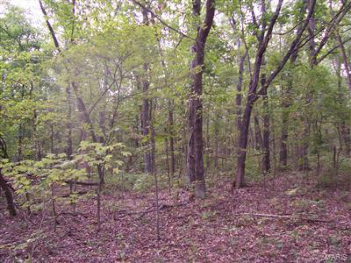 0 Outer Road, Farmington, Missouri 63640, ,Commercial Sale,For Sale,Outer,MAR17042309