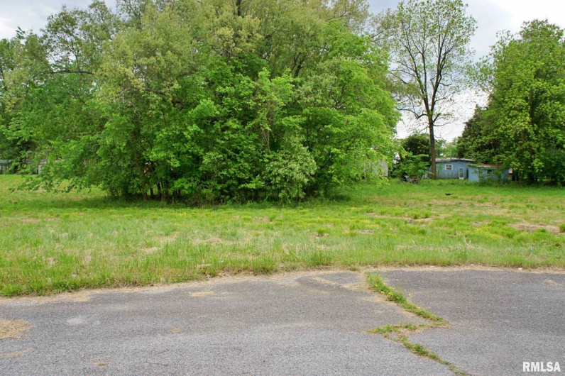 000 Rushing Drive, Metropolis, Illinois 62960, 0 , 0 ,0,Land,For Sale,Rushing,0,RMAEB434138