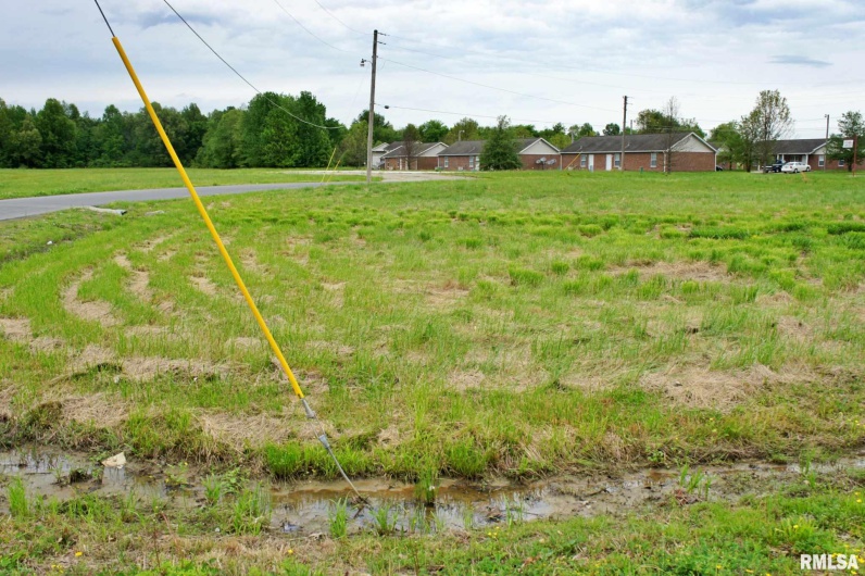 000 Rushing Drive, Metropolis, Illinois 62960, 0 , 0 ,0,Land,For Sale,Rushing,0,RMAEB434138