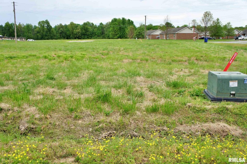 000 Rushing Drive, Metropolis, Illinois 62960, 0 , 0 ,0,Land,For Sale,Rushing,0,RMAEB434138