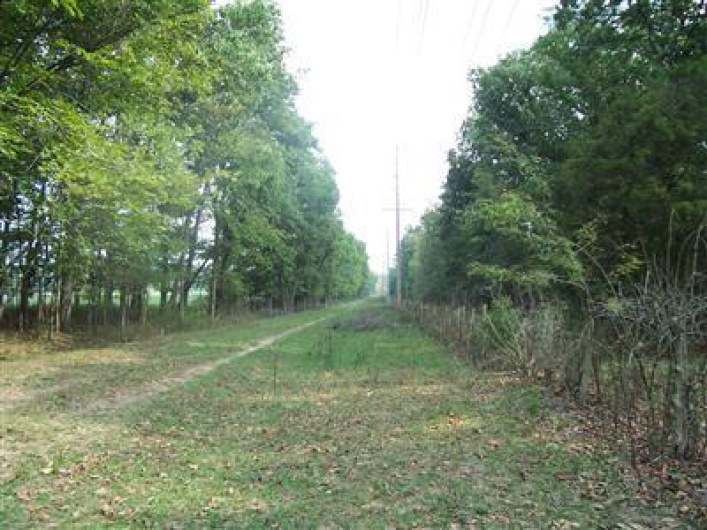 0 Hunt Road, Farmington, Missouri 63640, ,Farm,For Sale,Hunt,MAR9520659