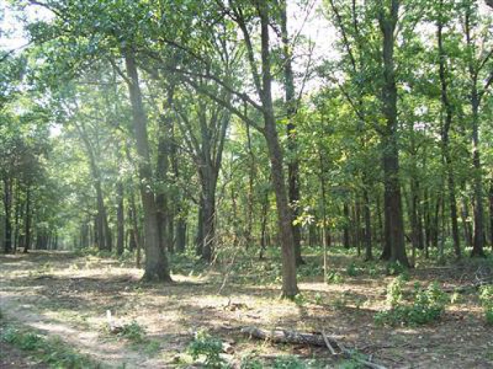 0 Hunt Road, Farmington, Missouri 63640, ,Farm,For Sale,Hunt,MAR9520659