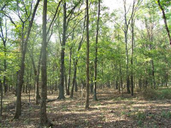 0 Hunt Road, Farmington, Missouri 63640, ,Farm,For Sale,Hunt,MAR9520659