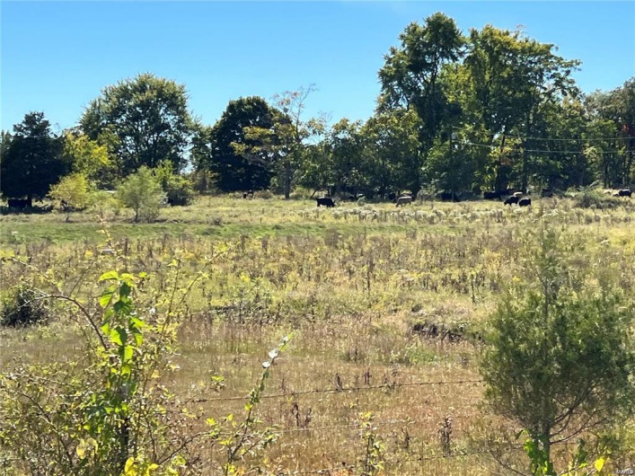 0 Hunt Road, Farmington, Missouri 63640, ,Farm,For Sale,Hunt,MAR9520659